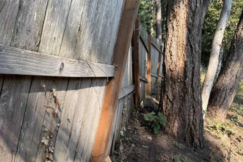 Failing fence section showing post rot at ground level before rebuild
